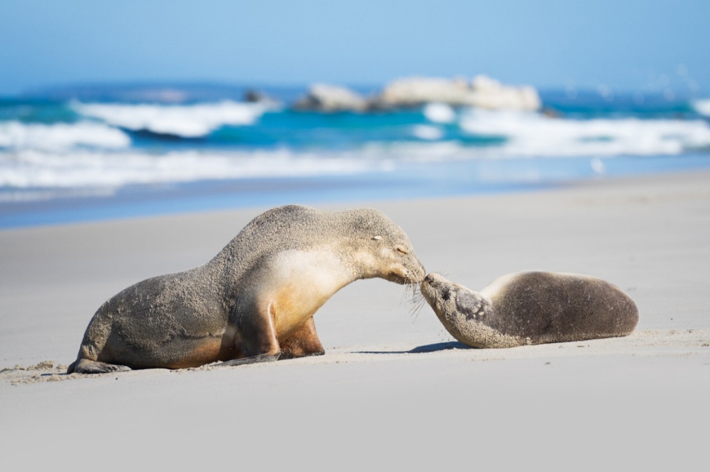 Kangaroo Island