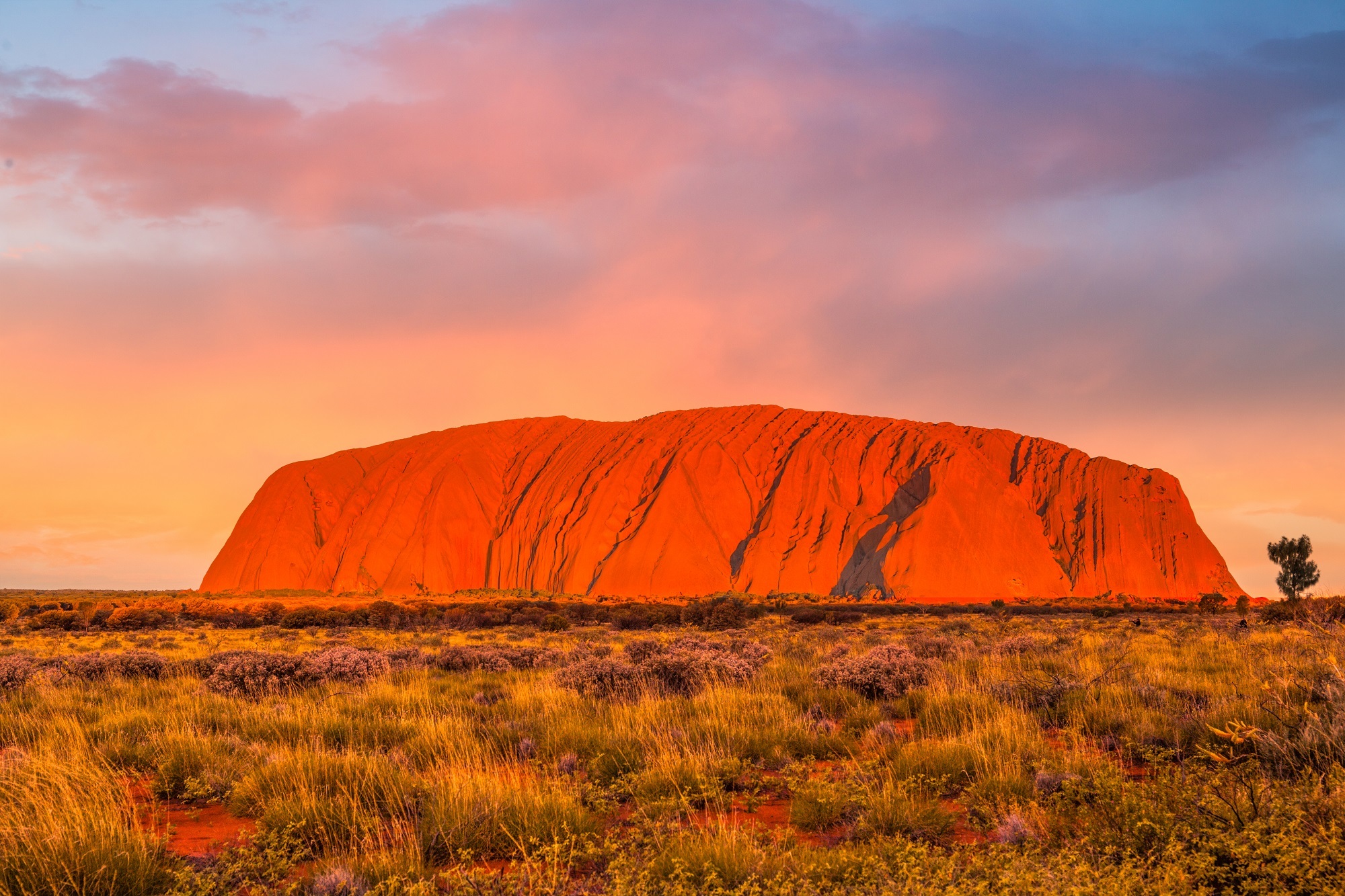 Uluru 1