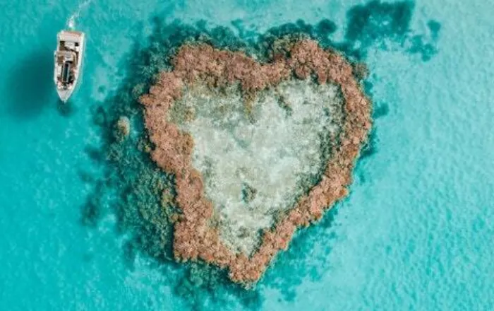 Heart reef glass bottom boat copyright saltywings