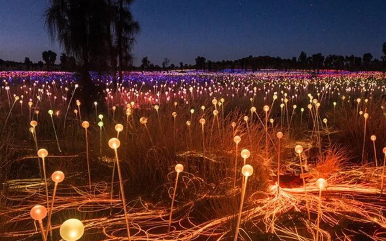 Uluru Field of Light 1