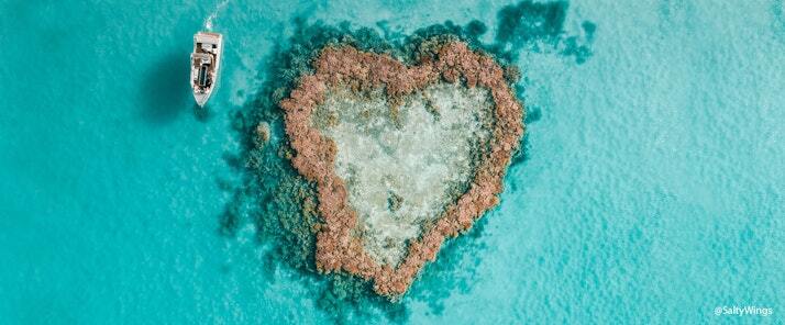 Heart reef glass bottom boat copyright saltywings